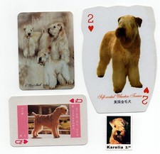 SOFT COATED WHEATEN TERRIER