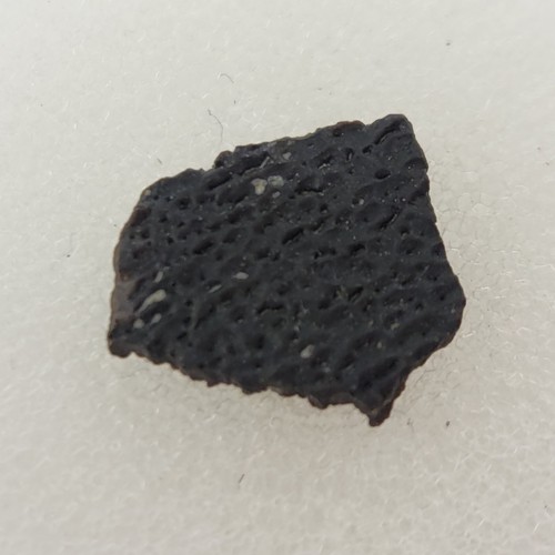 Hadrosaur egg shell fossil - egg,