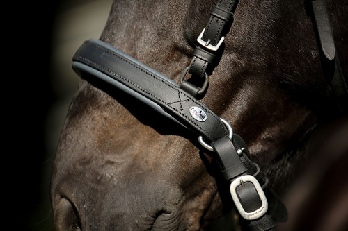 Barefoot shape noseband - 'shape-it',