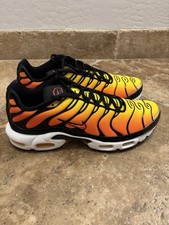Nike Air Max Plus Safety