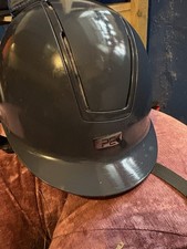 Premier Equine Endeavour Horse