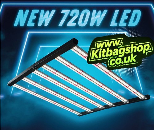 600w grow light kit - light,