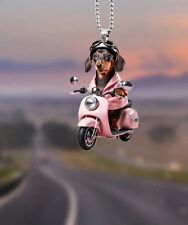 Dachshund cool scooter dog