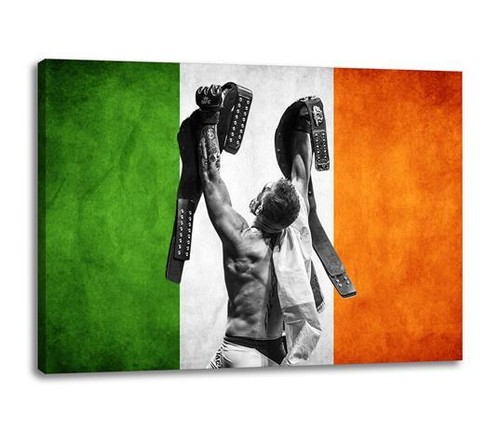 Conor mcgregor irish flag - irish,