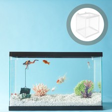 Small Fish Tank Pet Breeding