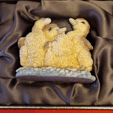 Country artists ducklings