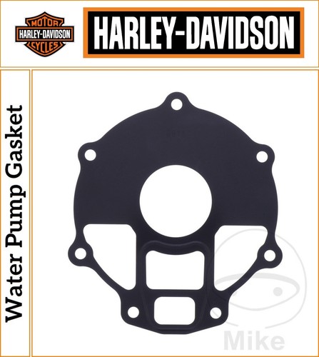 Harley davidson rod 1130 - davidson, v-rod