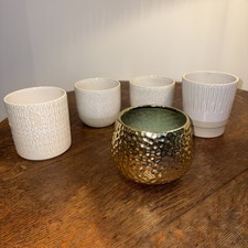 Five Small Modern House Plant