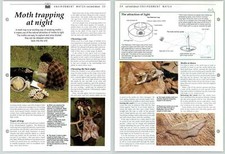 Moth Trapping At Night - Out & About - The Living Countryside Page