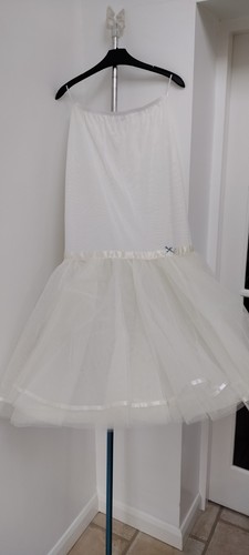 Blue ribbon wedding - ribbon,