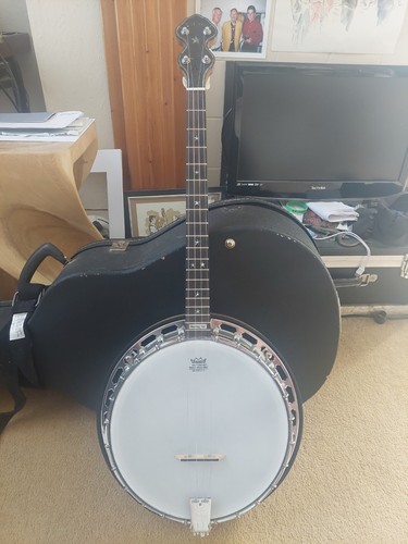 Tenor banjo pilgrim - tenor,