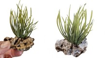 Artificial Vivarium Plants Set of Three Succulent Displays Ideal For Ant Farms