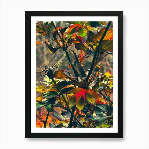 Lizard art print - art, wall