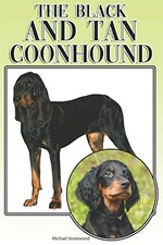 The black and tan - black,