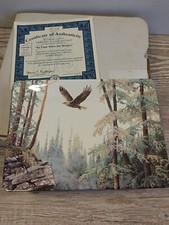 An Eagle Rules The Heights