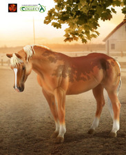 CollectA American Quarter