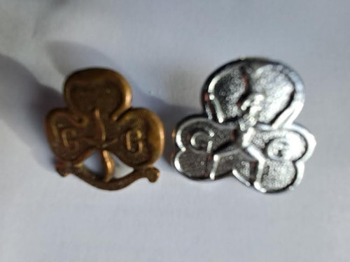 Girl guide brownie - girl, badges