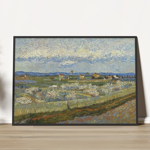 Van gogh peach trees - peach, in