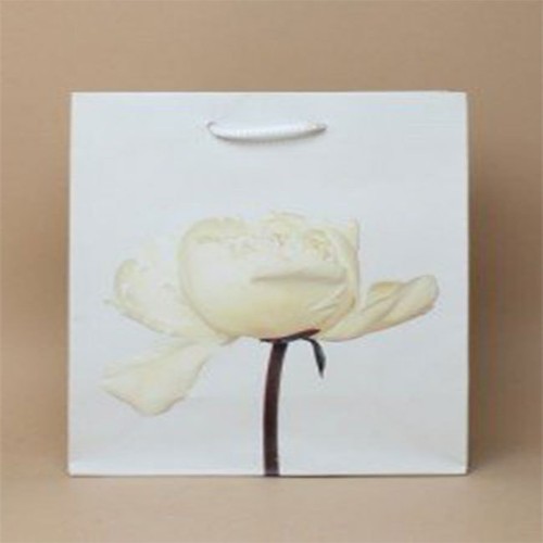 Gift bags flower prints - flower, roses