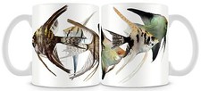 Angel fish mug tropical - fish,
