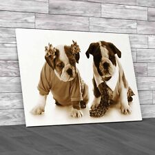 Fashion English Bulldog Puppies Girl Boy Sepia Canvas Print Large Picture Wall