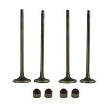 2 Pairs Intake Exhaust Valve