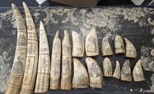 Incolay Faux Whale Teeth