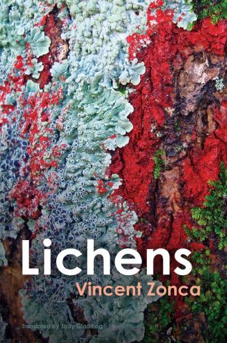 Lichens toward a minimal - toward,