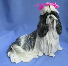 8" SHIH TZU EVE PEARCE ENGLAND