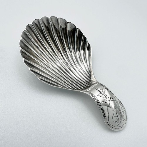 George iii shell - shell, spoon