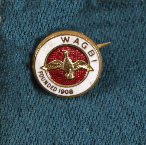 Vintage wagbi pin badge - vintage,