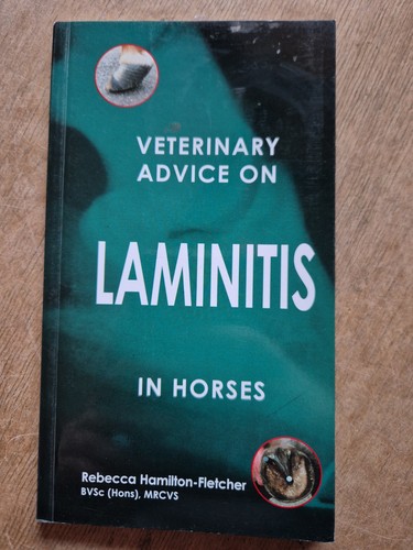 Veterinary advice laminitis - advice, on