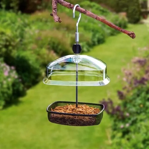 Garden bird feeder - garden,