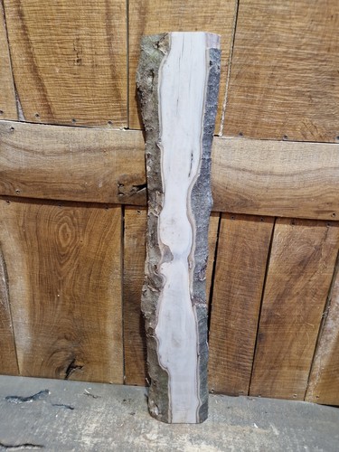 Live edge holly slab - edge,