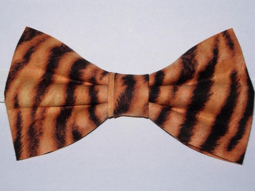 Tiger bow tie - tiger, wild