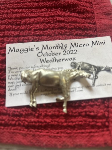 Maggie bennet monthly micro - monthly,
