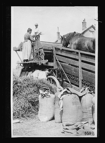 France 1918 horse - 1918,