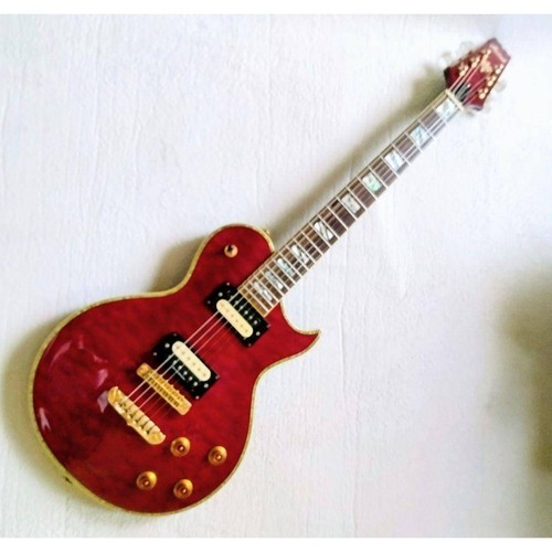 Aria pro guitar - aria,