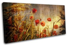Poppies flowers red poppy - flowers,