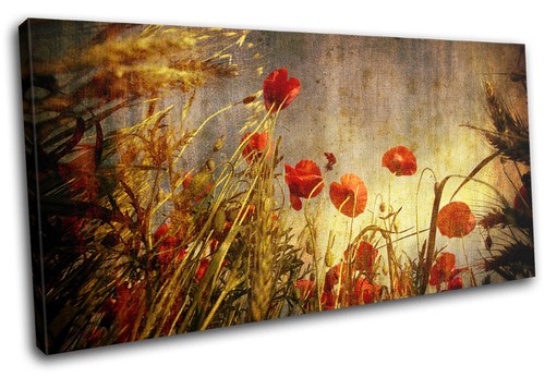 Poppies flowers red poppy - poppies,