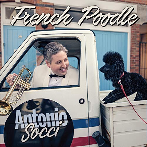 French poodle antonio socci - french,