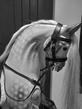 Large handmade Stitched Bridle