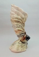 Vintage Sylvac Vase Cornucopia Shell Design Made In England 