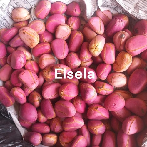 African kola nut organic - ,