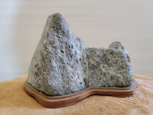 Japanese suiseki bonseki - japanese,