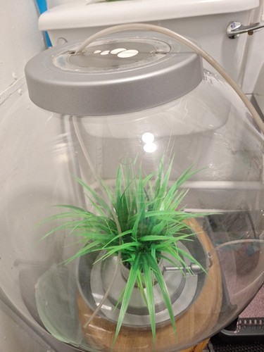 60lt biorb fish tank - biorb,