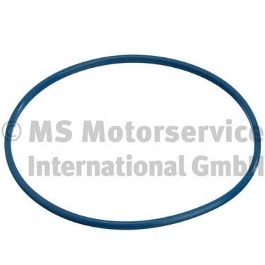 Seal fuel tank cap pierburg - cap,