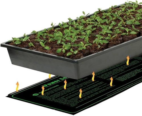 Propagation accelerator heat