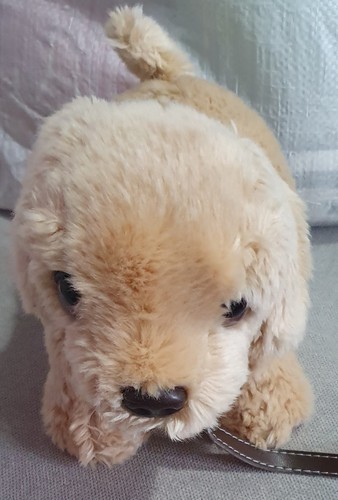 Keel labrador cream - 🐶keel, plush