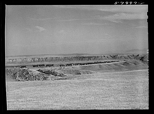 Photo grazing land - photo:grazing, havre
